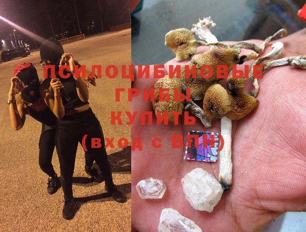 гидра Балахна