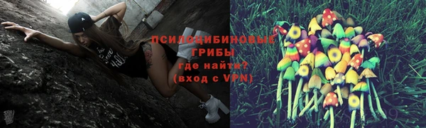 гидра Балахна